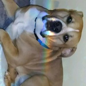 Meet your Posher, Jenika